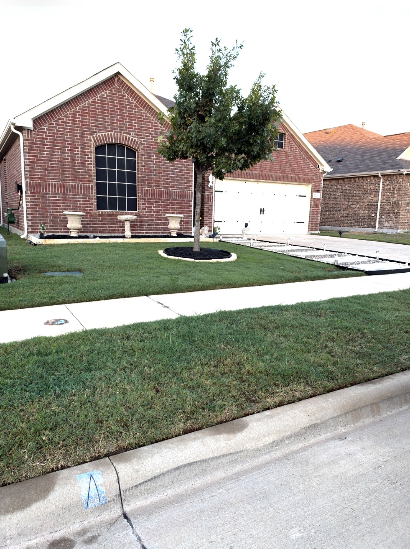 Turf Rx project